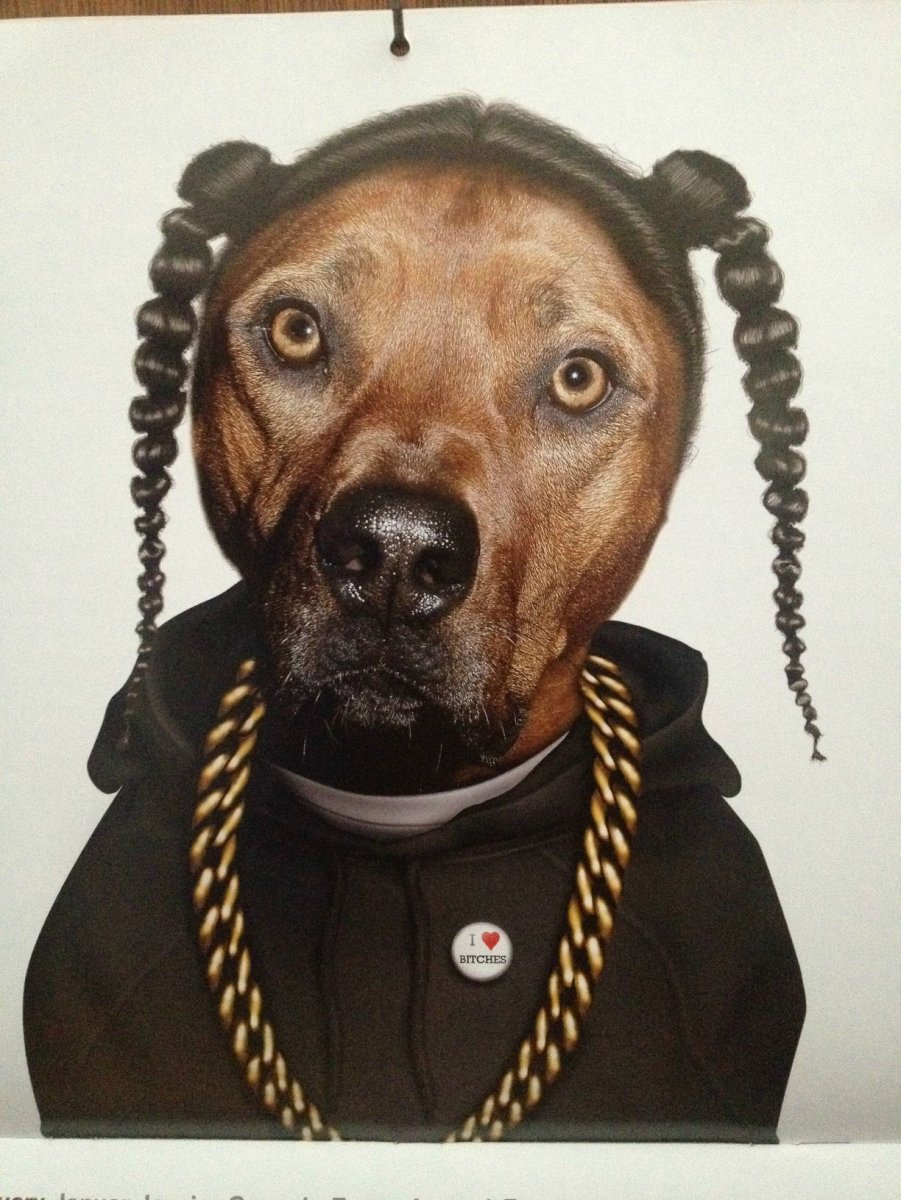 Snoop Dogg собака