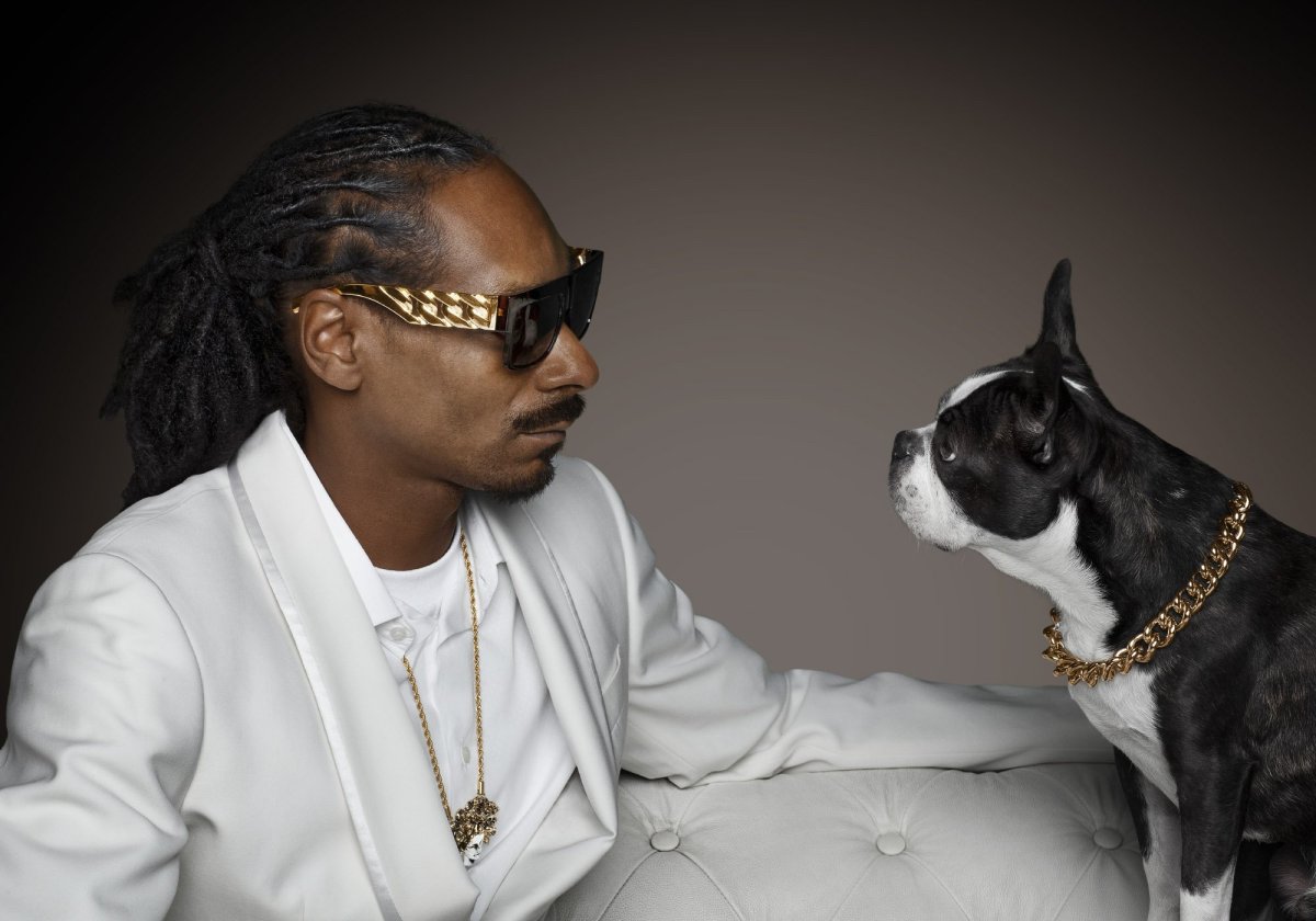 Померанский шпиц jiffpom