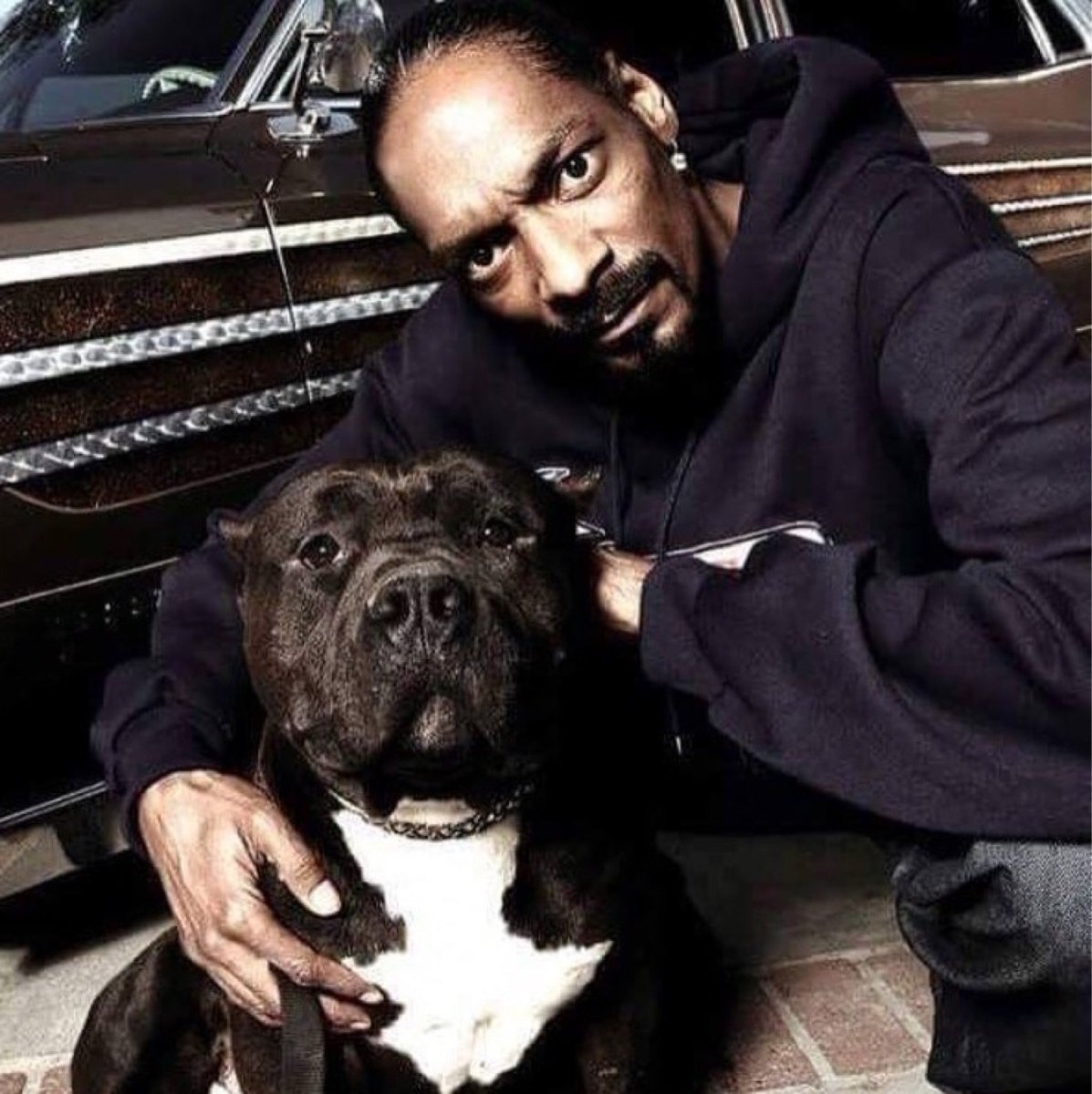 Шапка 'собака'