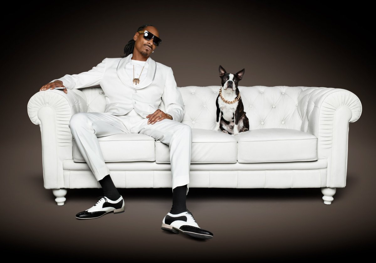 Дом снуп дога