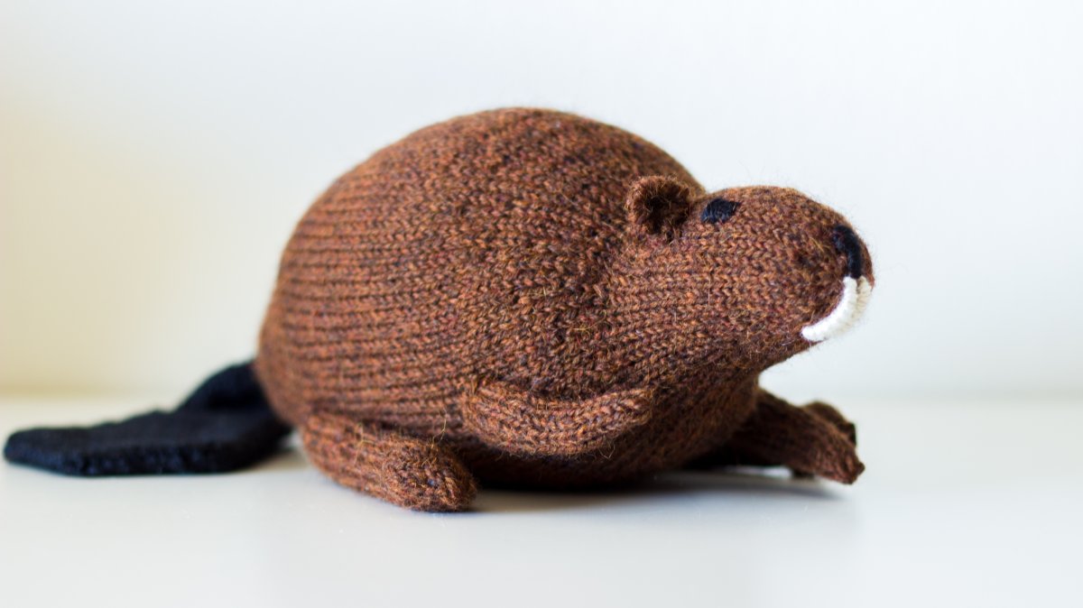 Бобер суперзуб