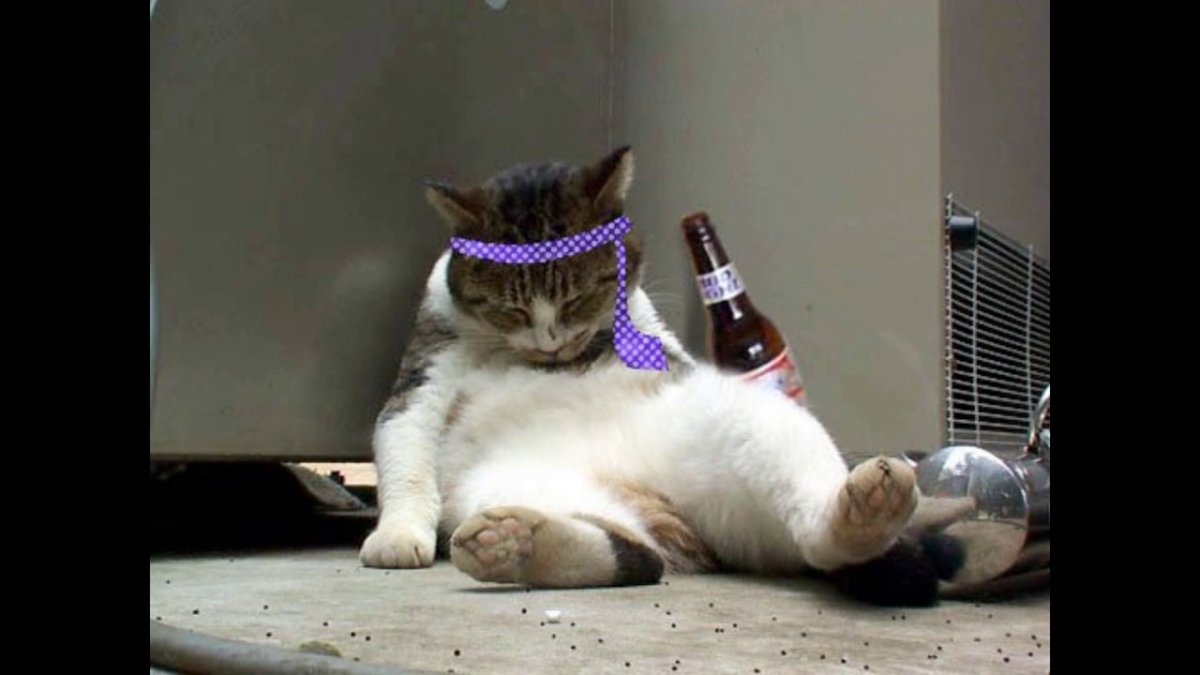 Кот и валерьянка