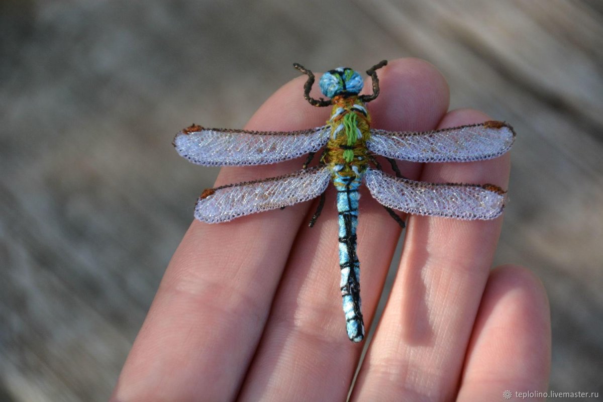 Стрекоза и Шершень