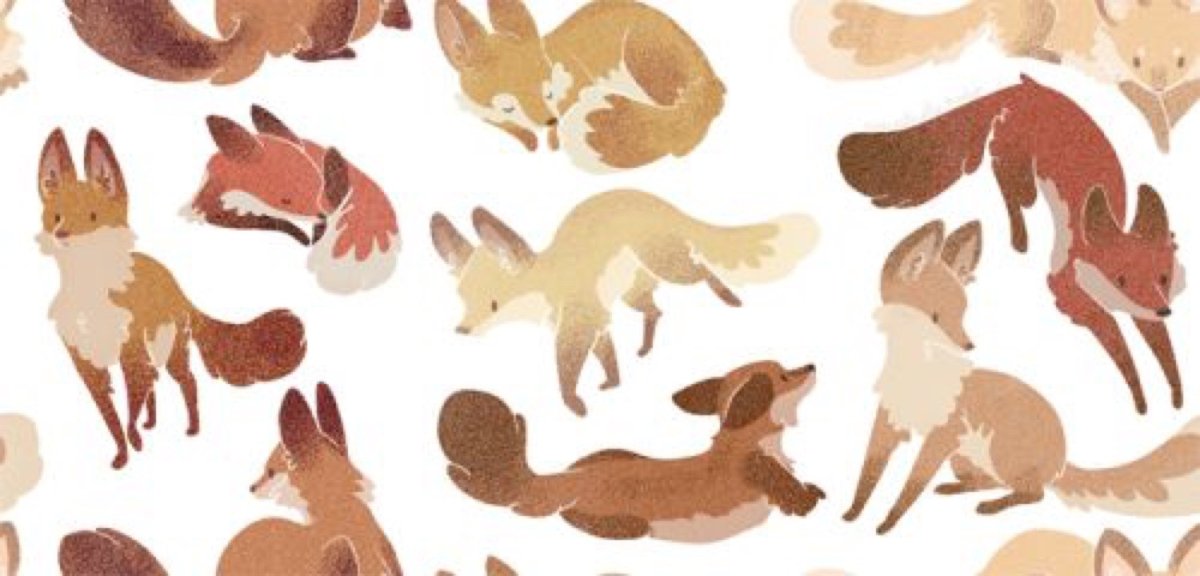 Обои лисы на стену