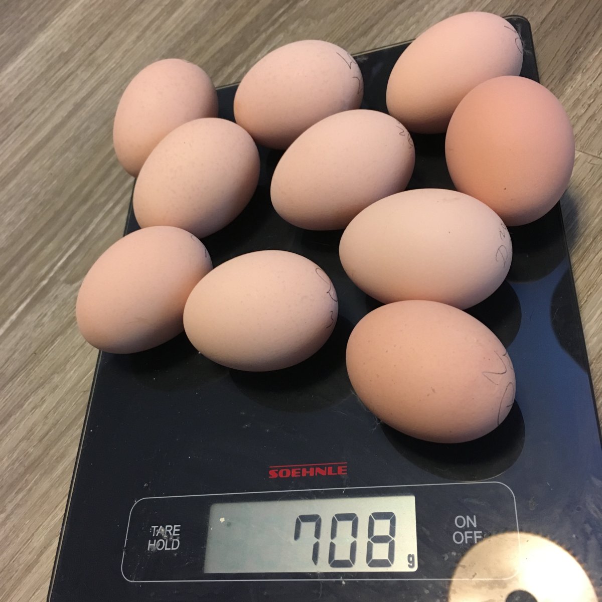 Можно ли курам Геркулес давать