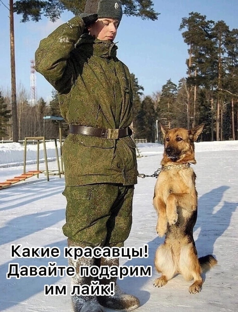 Малинуа Полицейская