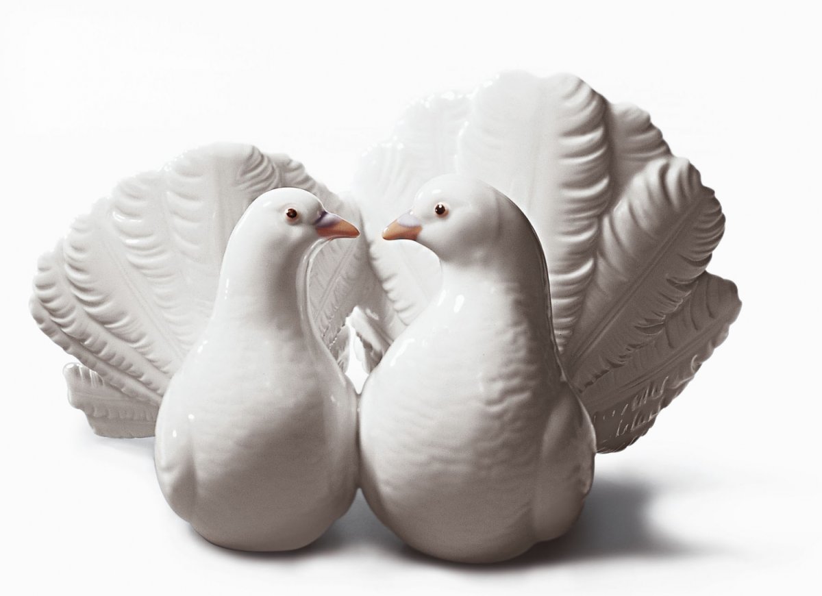 Птицы в городе