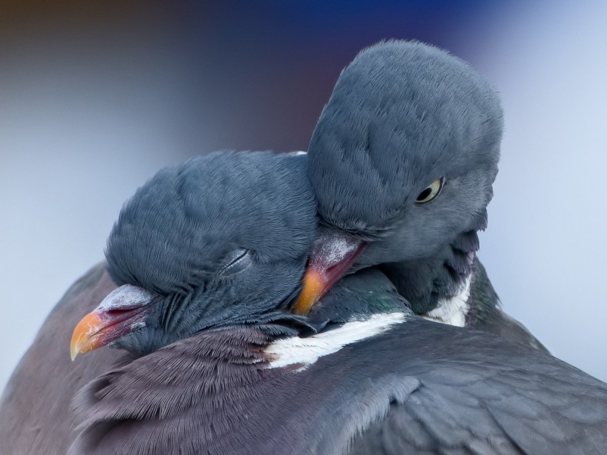 Приколы про вечную любовь