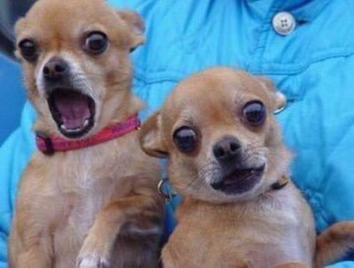 Ева Зильбер