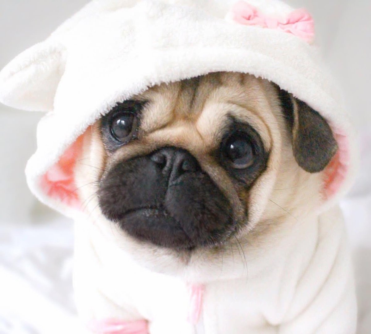 Милые собачки мультяшные