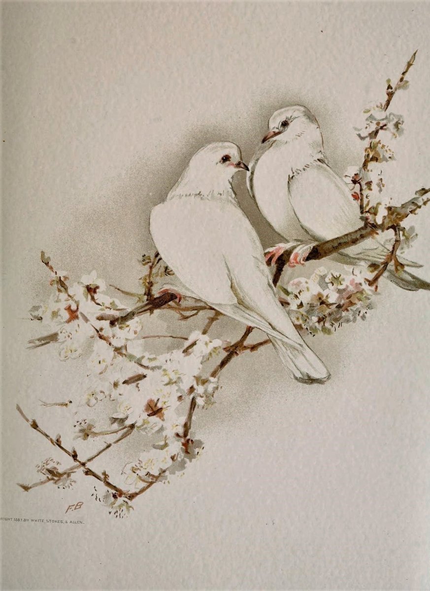 Картина бежевые тона