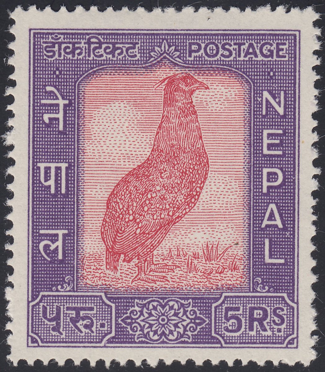 Дикая птица с пушистыми ногами