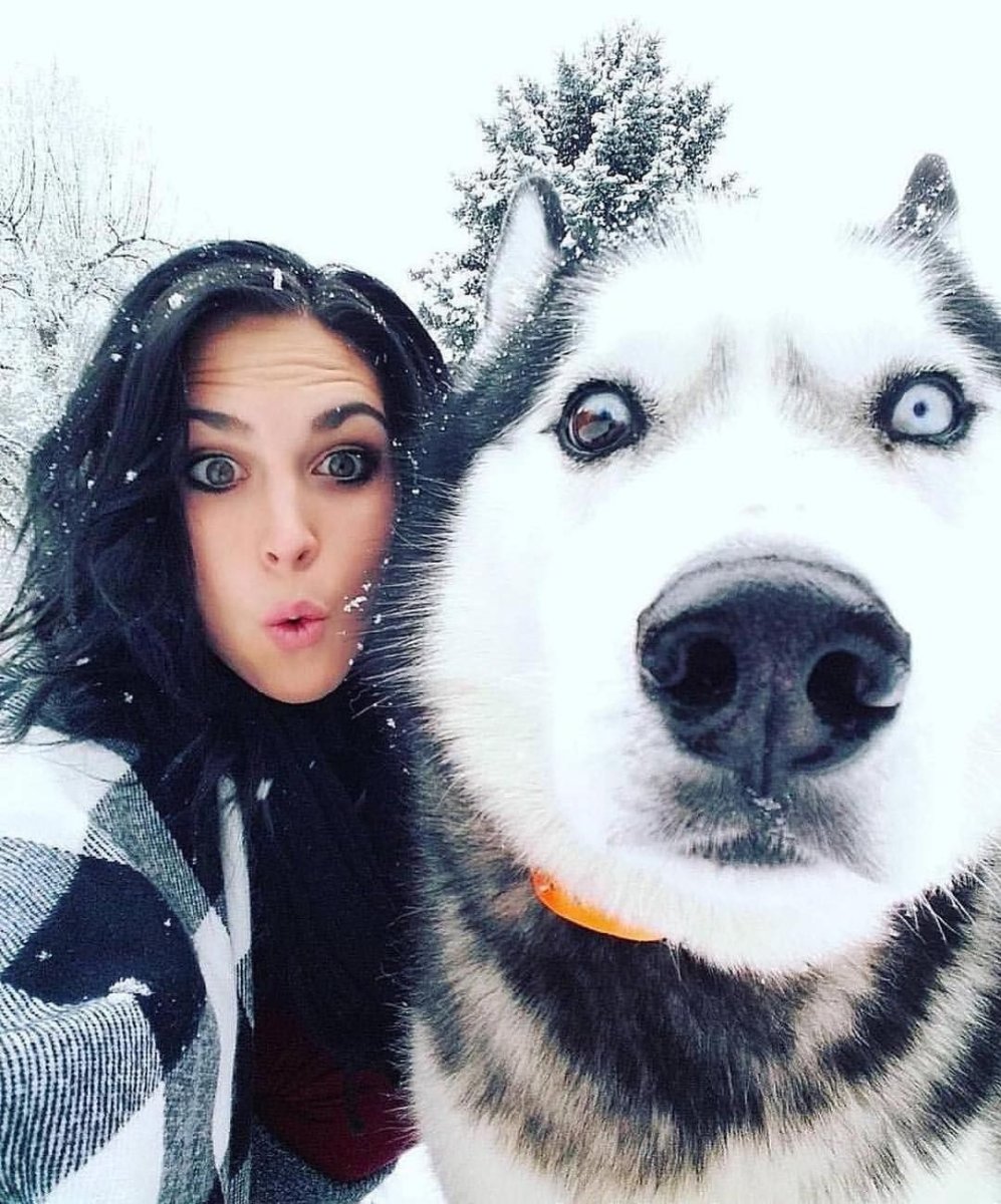 Глаза голубой собаки