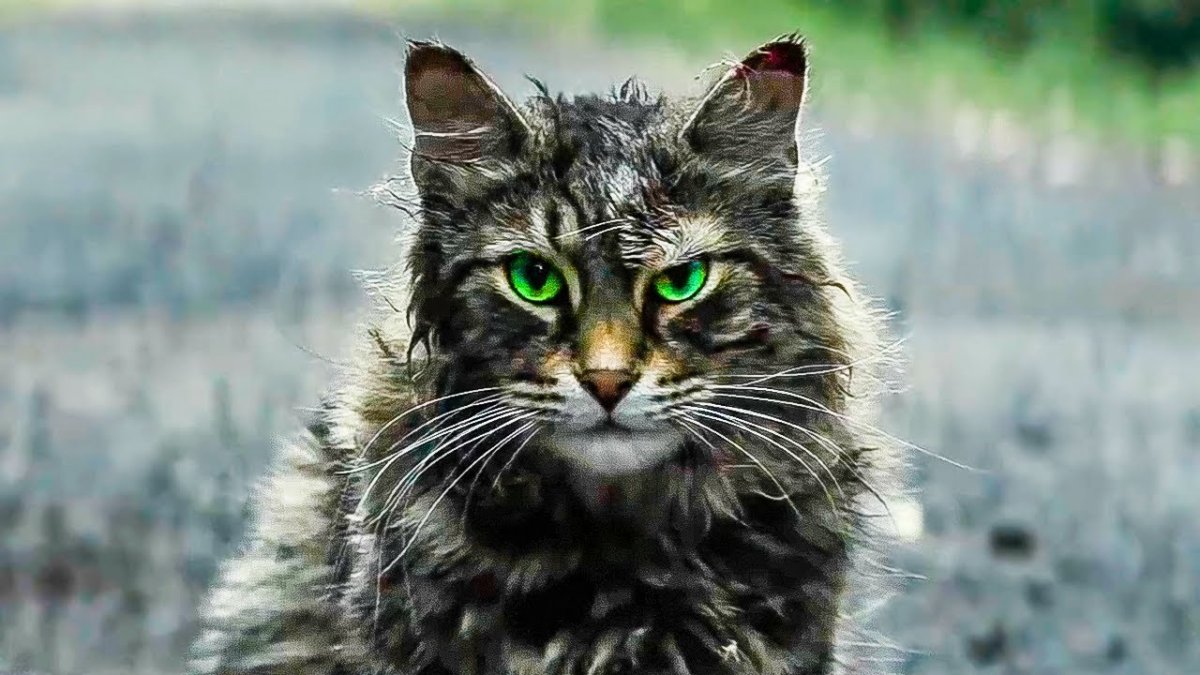 Кладбище домашних животных фильм 2019