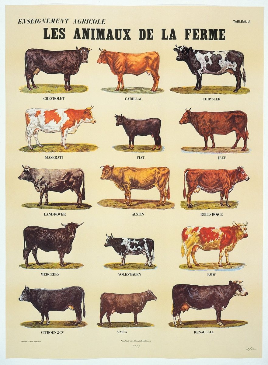 Бык джерсейской породы аватар