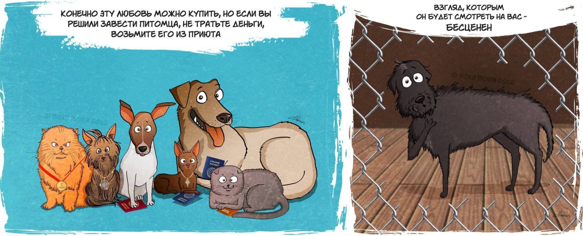 Адские псы сверхъестественное