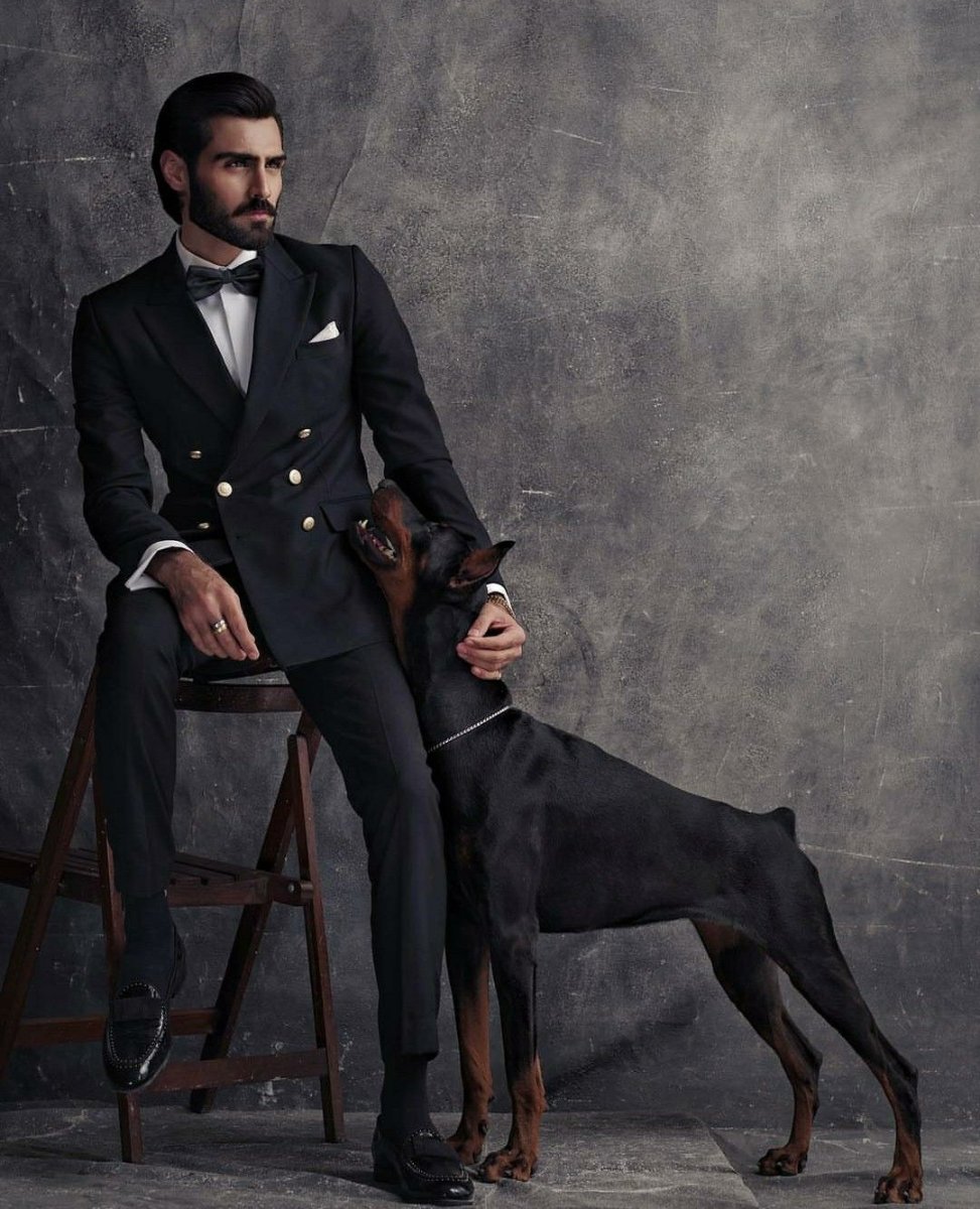 Животные в пиджаке