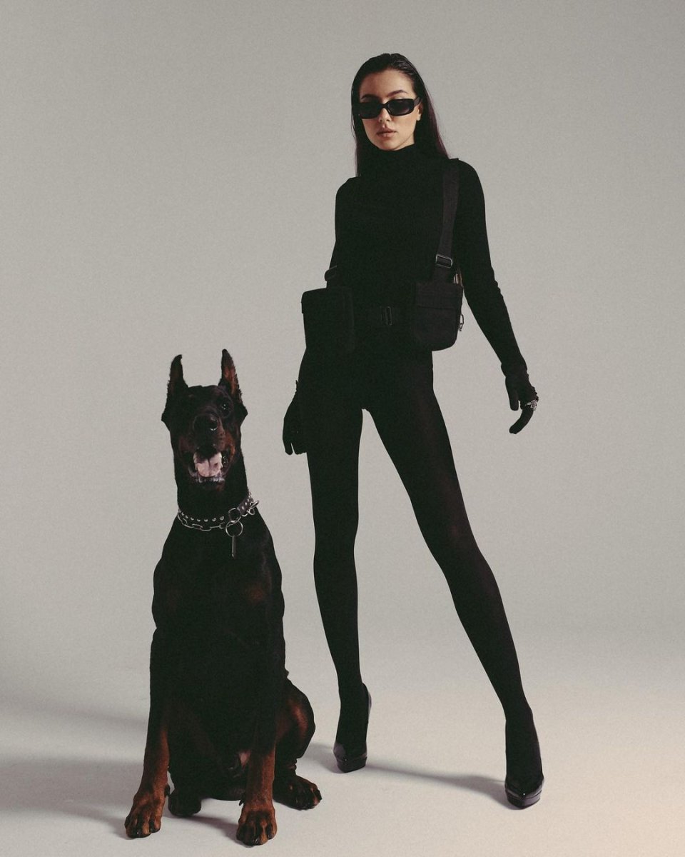 Американская Акита Генри Кавилл