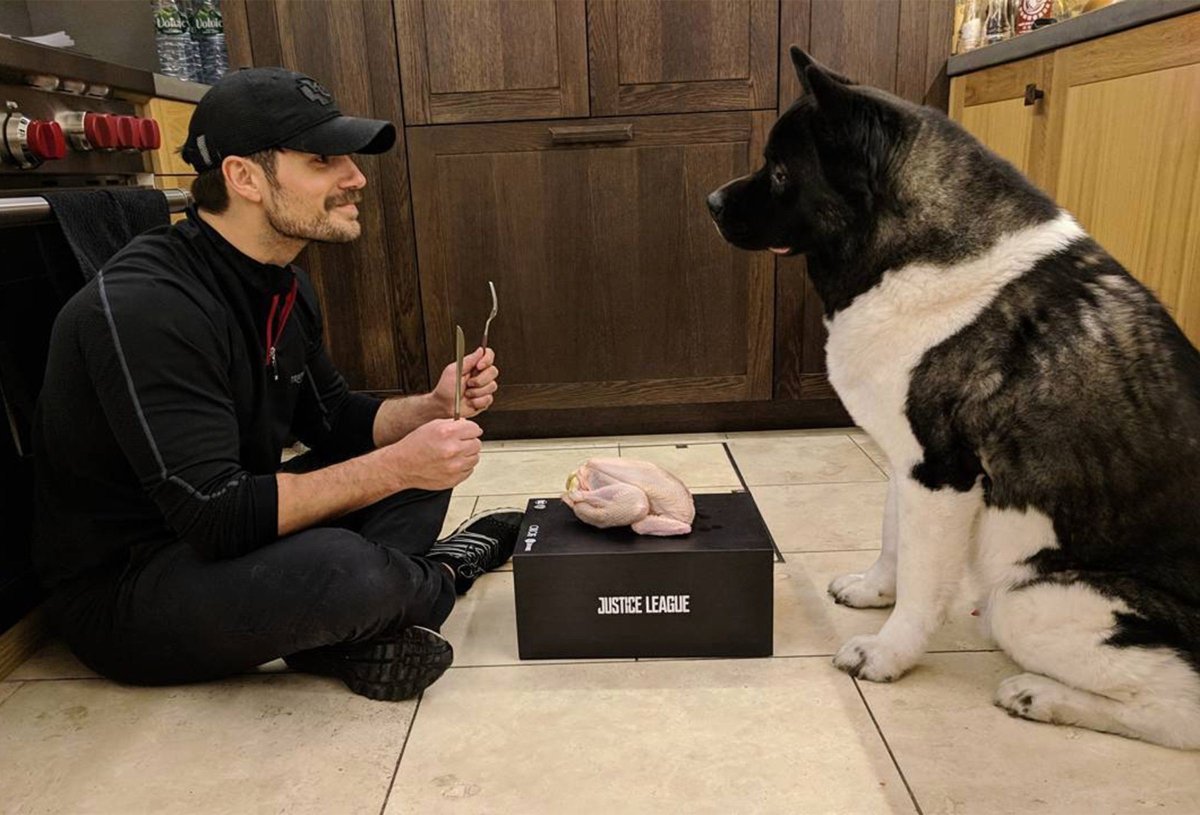 Собака с человеческой мордой