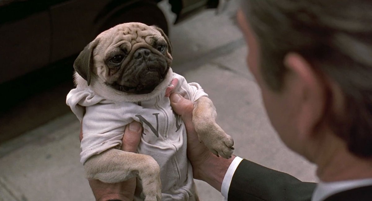 Мопс Фрэнк из люди в чёрном