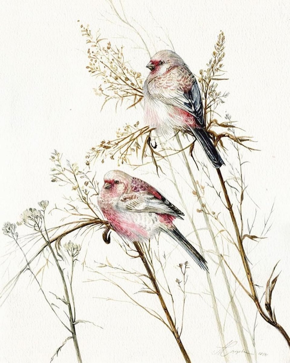 James Hautman картины