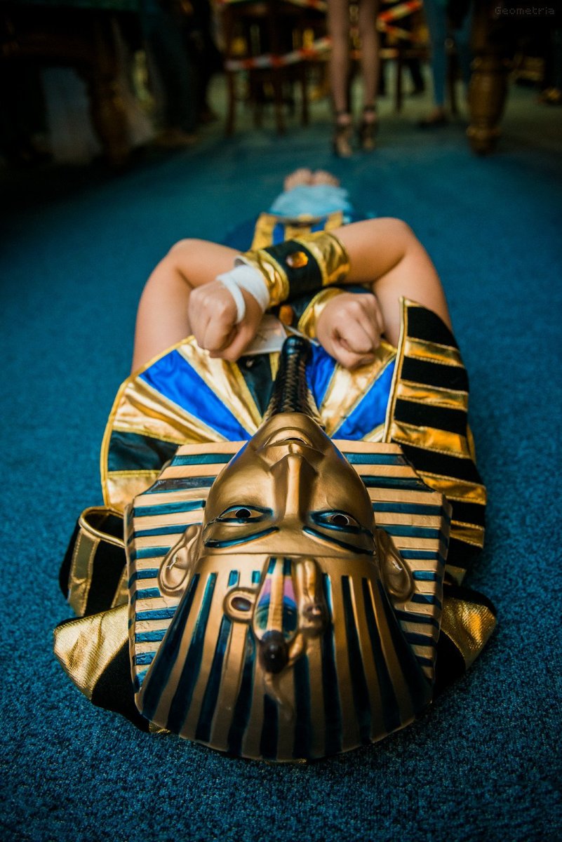 Бабочка Махаон Луговая