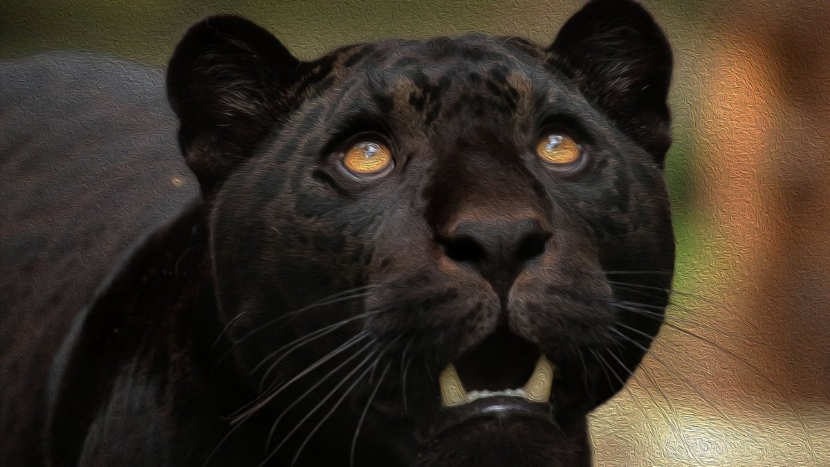 Гуджитсу черная пантера