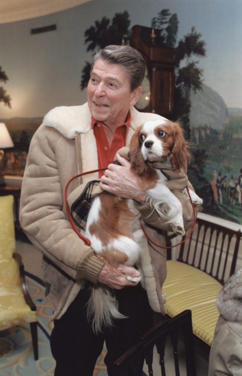 Рейган Кинг Чарльз