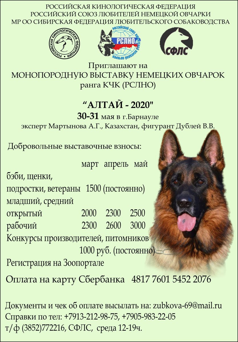 Немецкая овчарка щенок Пинтерест