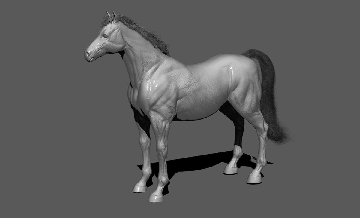Скелет лошади 3д Макс