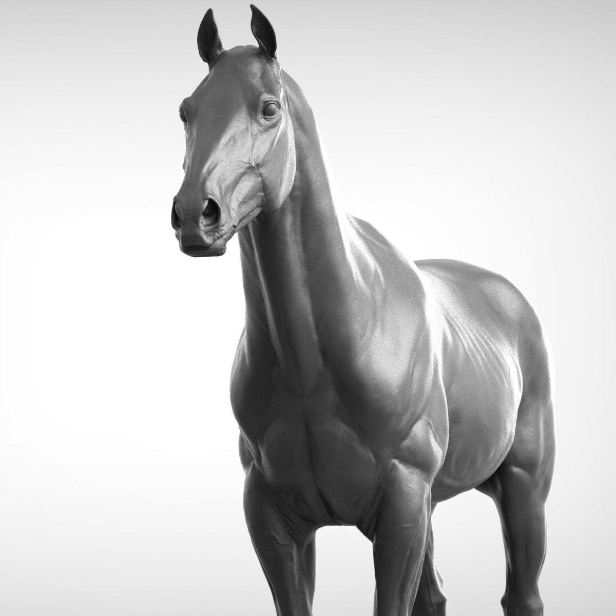 Лошадь 3д модель