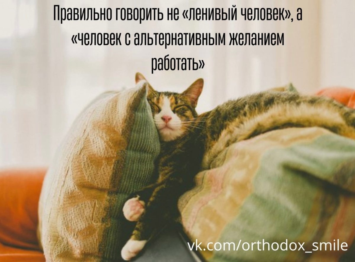 Котик лентяй