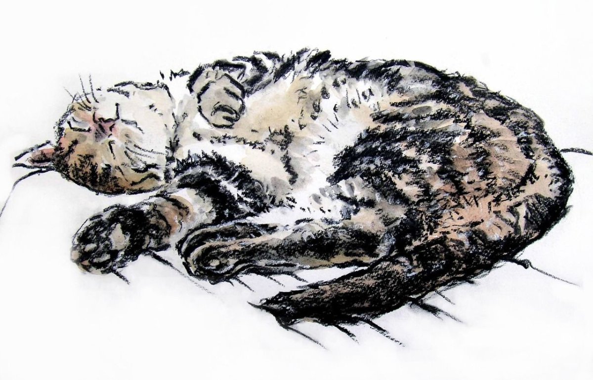 Ленивый кот рисунок