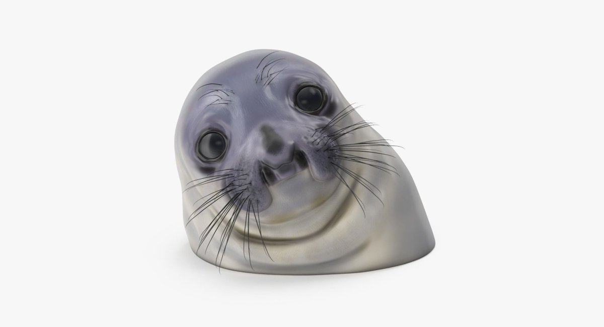 Смешная Нерпа