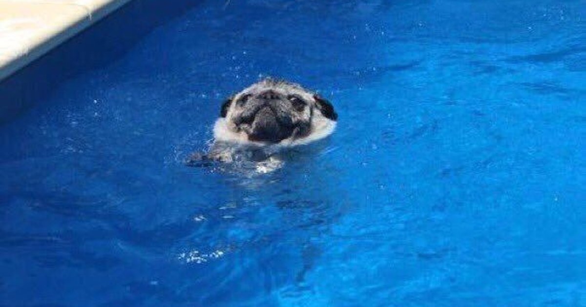 Какое зло я тебе сделал