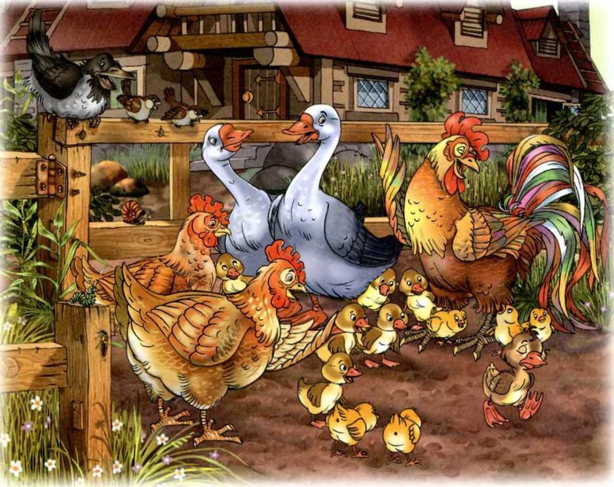 Семья индюк индейка индюшата