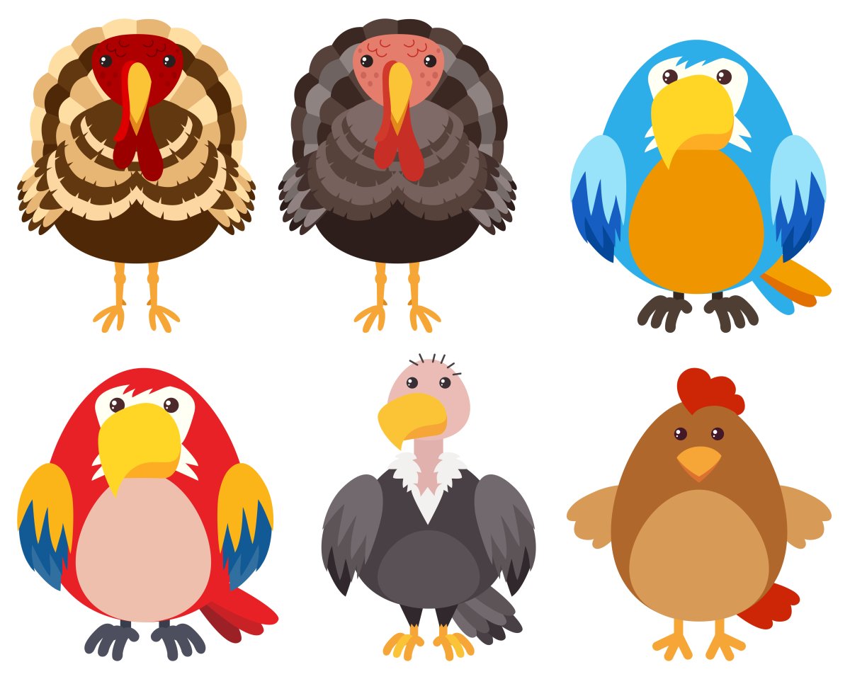 Turkey Istanbul Birds vector
