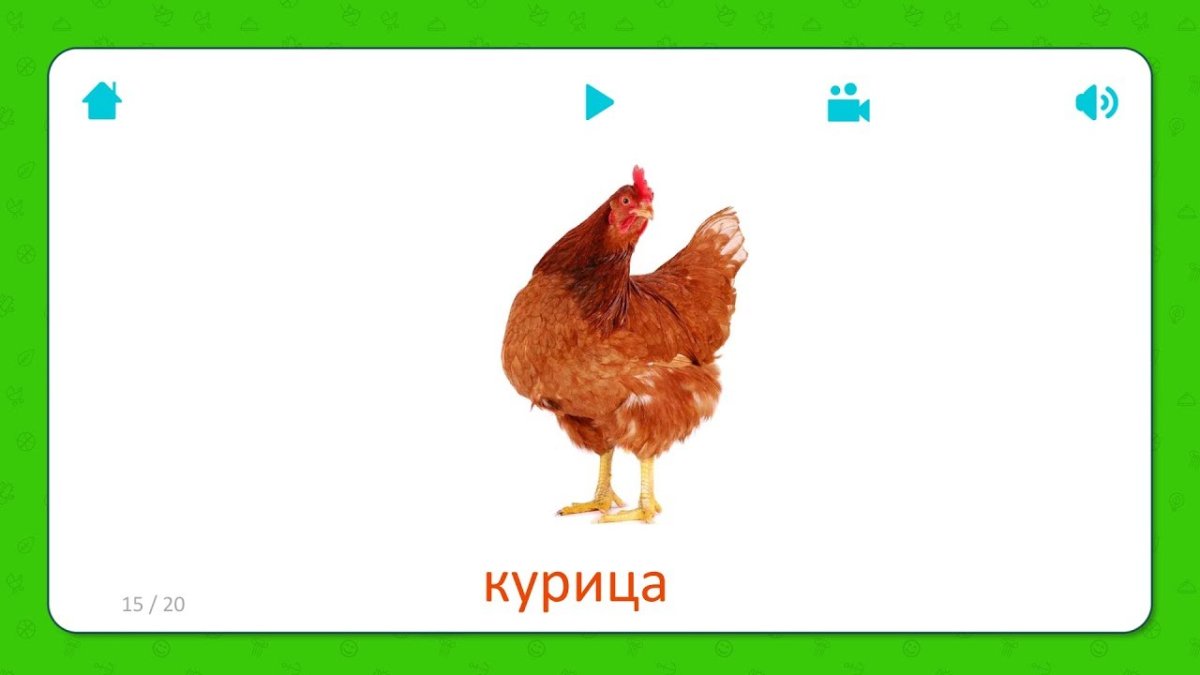 Силуэты домашних птиц для детей