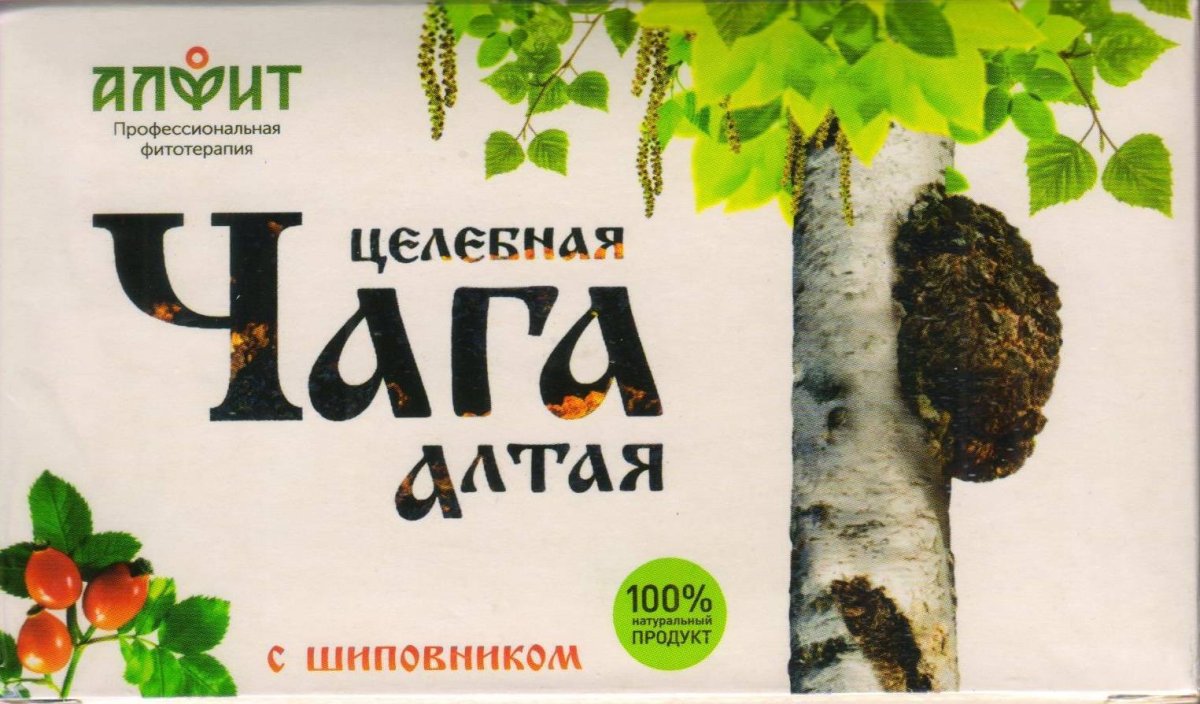 Удод на дереве