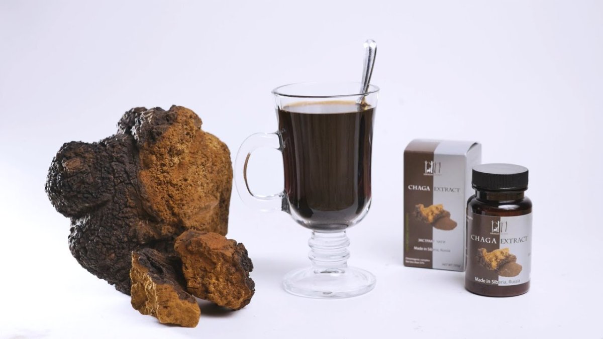 Сова в дупле