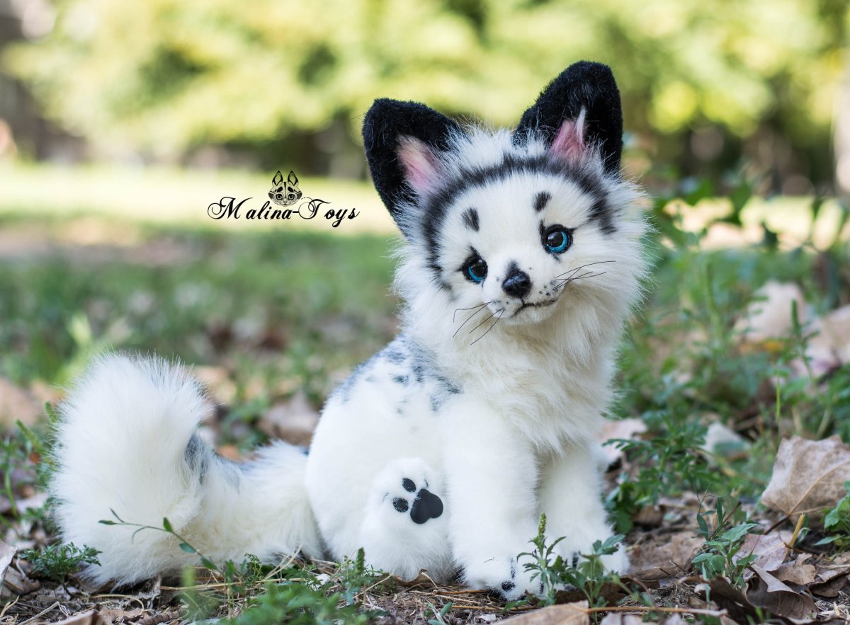 Мраморная лиса (Marble Fox)
