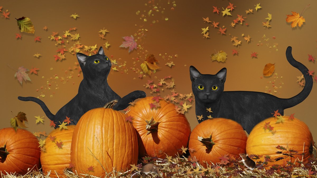 Хэллоуин фон