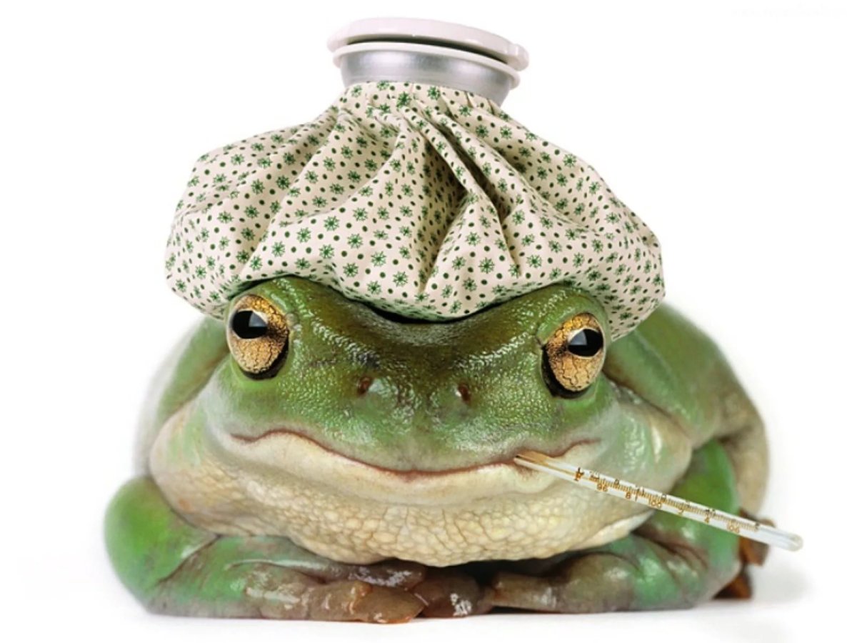 Жаба "Жозефина" (ПВХ)