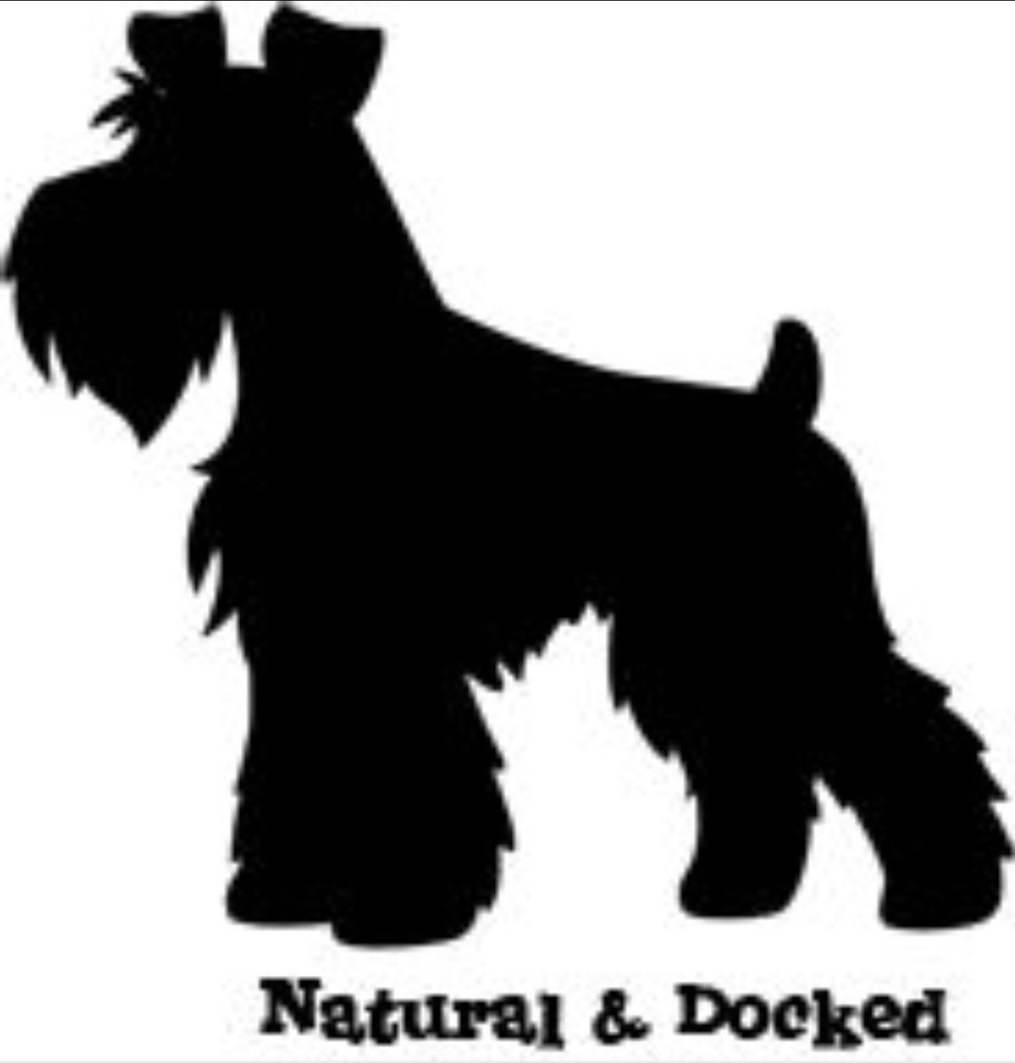 Силуэт собаки Цвергшнауцер