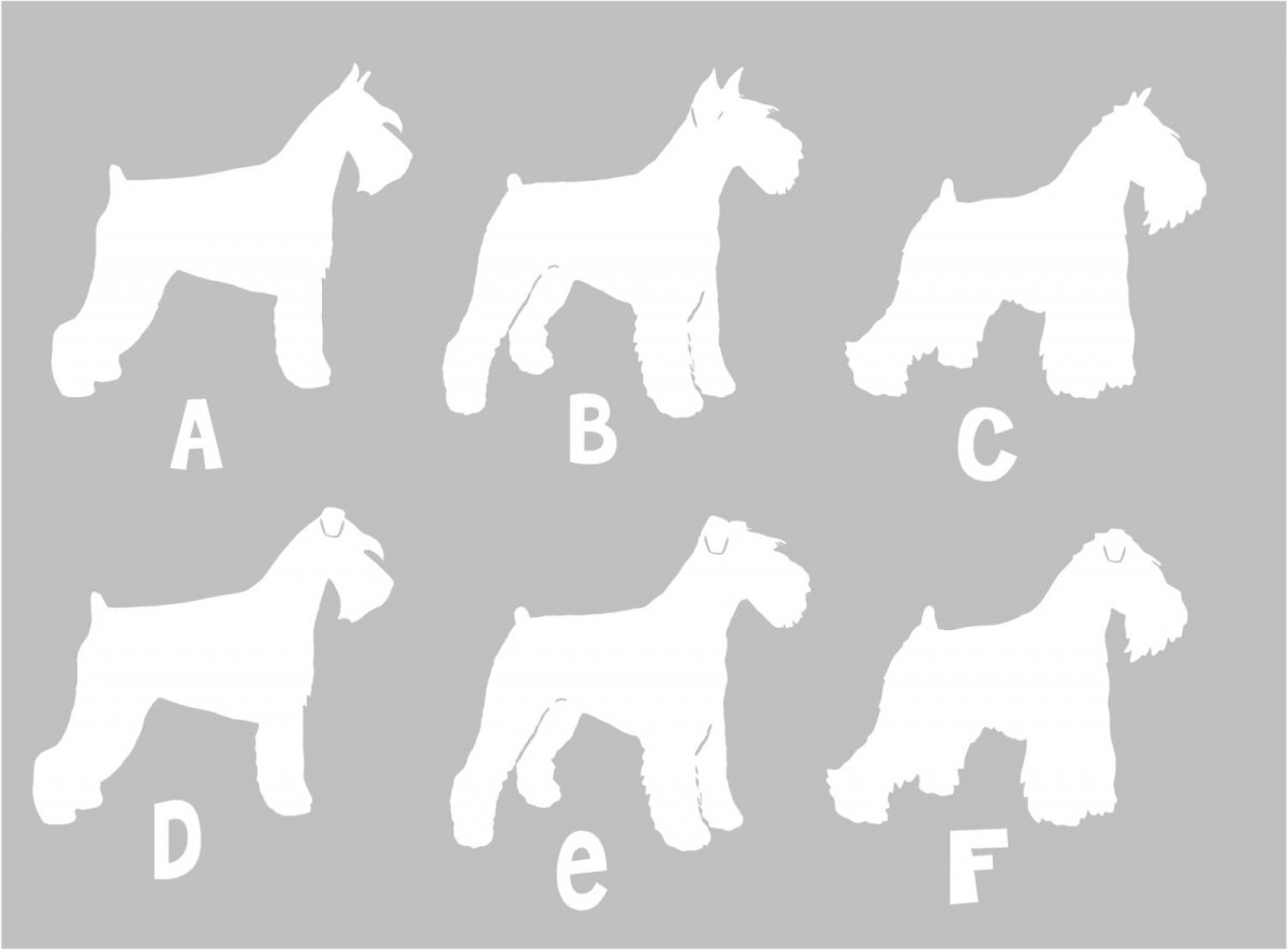 Ризеншнауцер силуэт