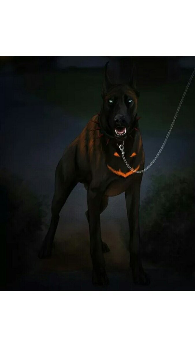 Черная собака с цепью