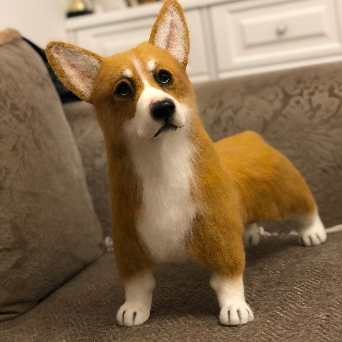 Коты похожие на корги порода