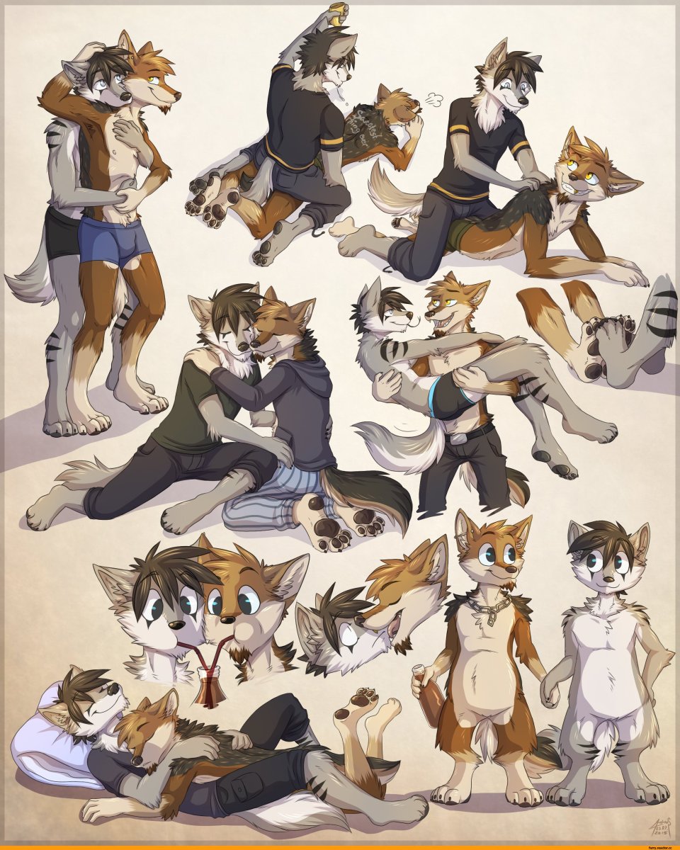 Фурри семья Волков братья