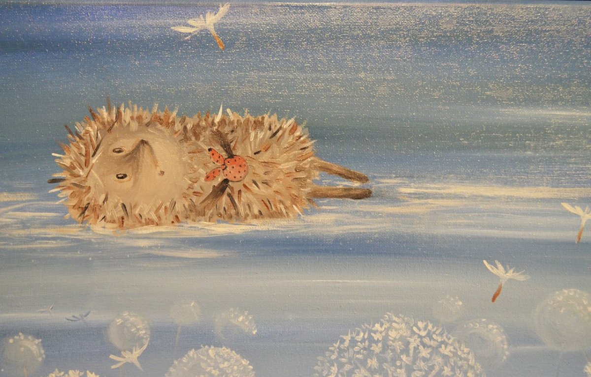 Ежик и солнце