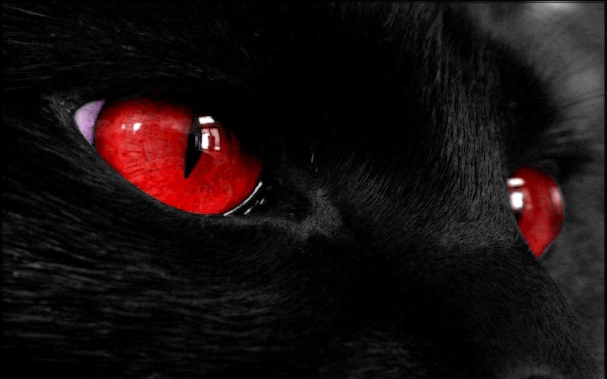 Черно красные